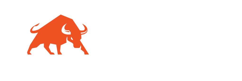 Toro Tech IT Solutions